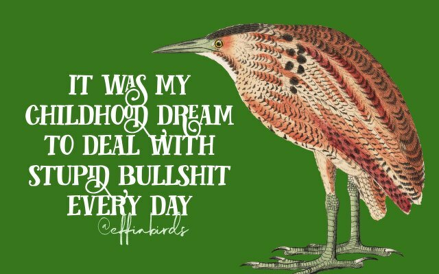 A painting of a bird beside the text "it was my childhood dream to deal with stupid bullshit every day"