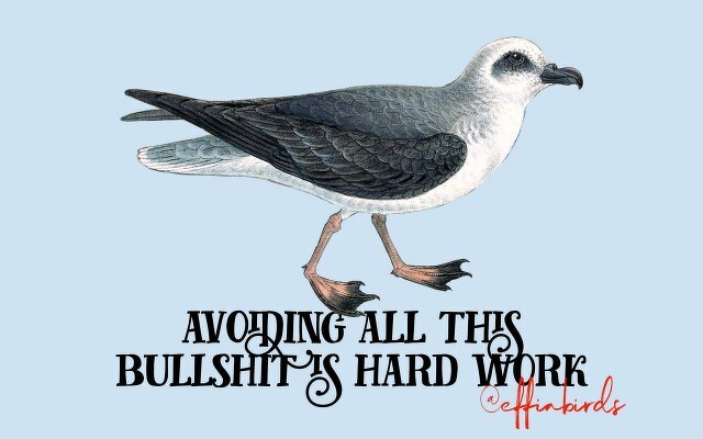 A painting of a bird beside the text "avoiding all this bullshit is hard work"