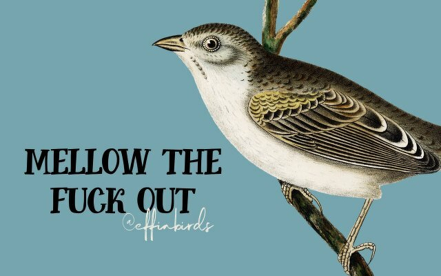A painting of a bird beside the text "mellow the fuck out"