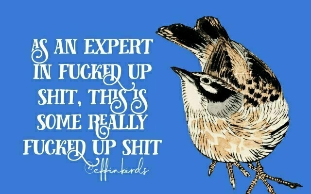 A painting of a bird beside the text "as an expert in fucked up shit, this is some really fucked up shit"