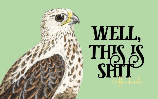 A painting of a bird beside the text "well, this is shit"