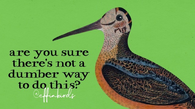 A painting of a bird beside the text "are you sure there's not a dumber way to do this?" 