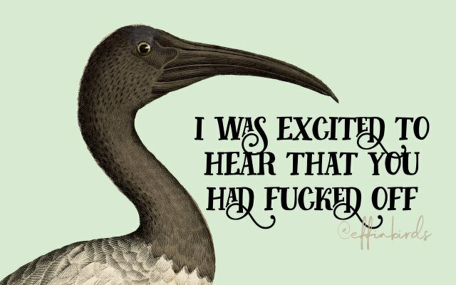 A painting of a bird beside the text "i was excited to hear that you had fucked off"