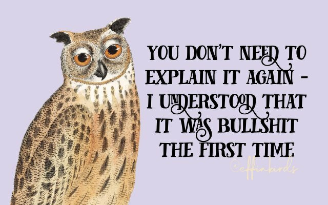 A painting of a bird beside the text "you don't need to explain it again -  i understood that it was bullshit the first time"