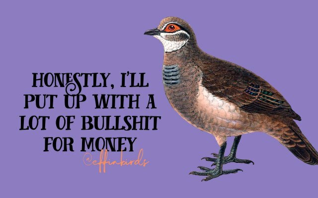 A painting of a bird beside the text "honestly, i'll put up with a lot of bullshit for money"