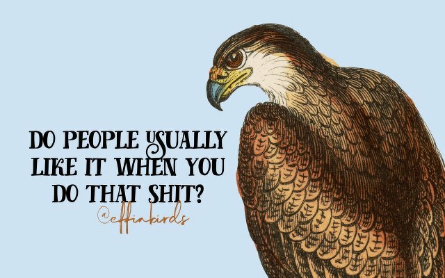 A painting of a bird beside the text "do people usually like it when you do that shit?"
