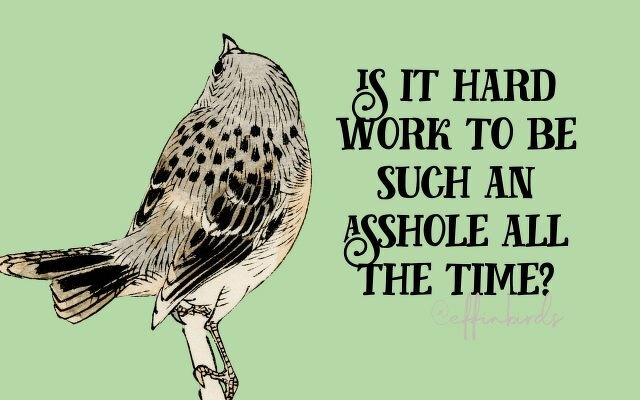 A painting of a bird beside the text "is it hard work to be such an asshole all the time?"