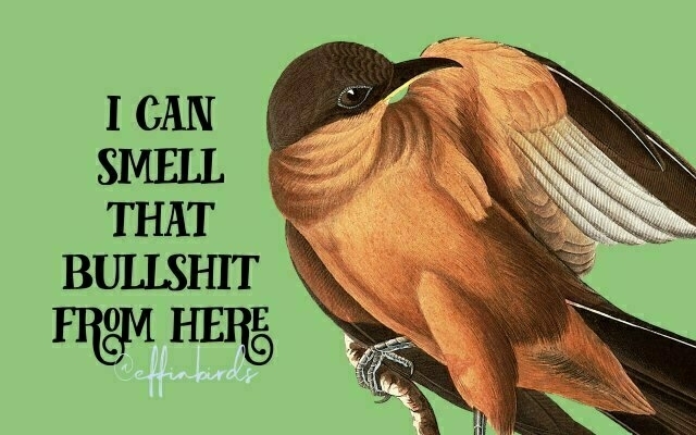 A painting of a bird beside the text "i can smell that bullshit from here"
