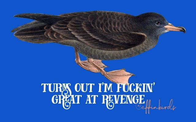 A painting of a bird beside the text "turns out i'm fuckin' great at revenge"