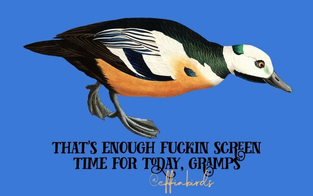 A painting of a bird beside the text "that's enough fuckin screen  time for today, gramps"