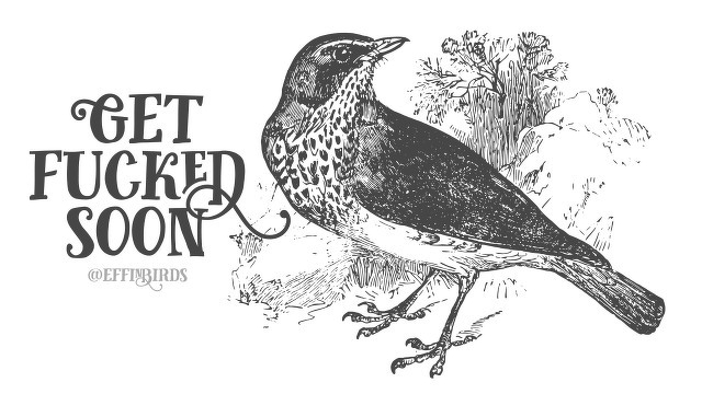 A woodcut of a bird beside the text "get fucked soon"