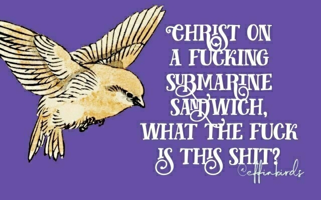 A painting of a bird beside the text "Christ on a fucking submarine sandwich, what the fuck is this shit"