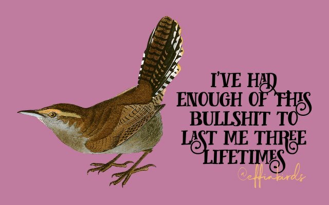 A painting of a bird beside the text "i've had enough of this bullshit to last me three lifetimes"