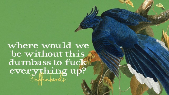 A painting of a bird beside the text "where would we be without this dumbass to fuck everything up?"