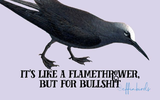 A painting of a bird beside the text "it's like a flamethrower, but for bullshit"