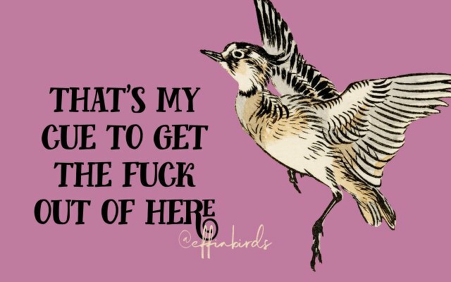 A painting of a bird beside the text "that's my cue to get the fuck out of here"