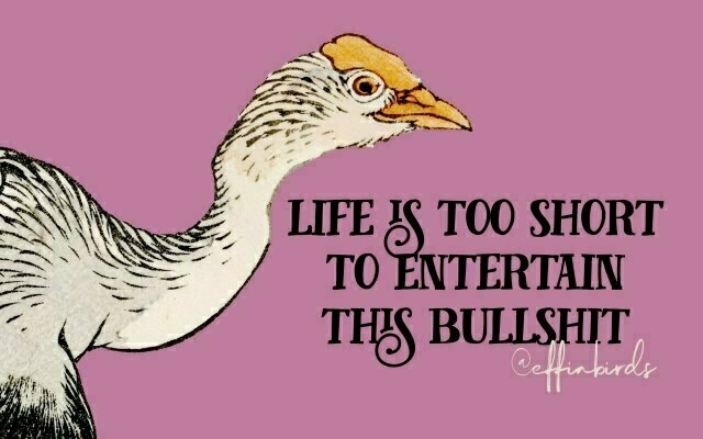A painting of a bird beside the text "life is too short to entertain this bullshit"