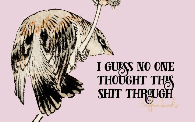 A painting of a bird beside the text "i guess no one thought this shit through"