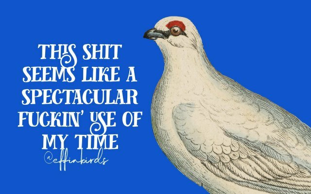 A painting of a bird beside the text "this shit seems like a spectacular fuckin' use of my time"