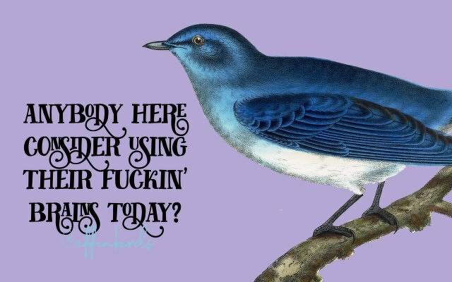 A painting of a bird beside the text "anybody here consider using their fuckin' brains today?"