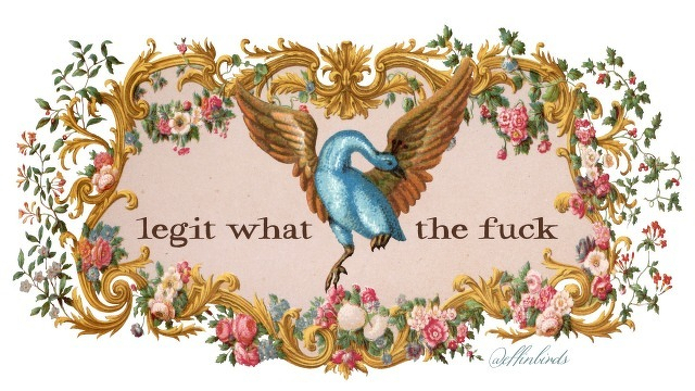 A painting of a bird beside the text "legit what the fuck"