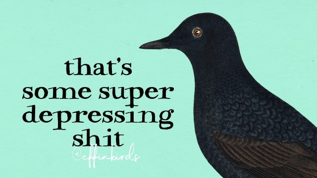 A painting of a bird beside the text "that's some super depressing shit"