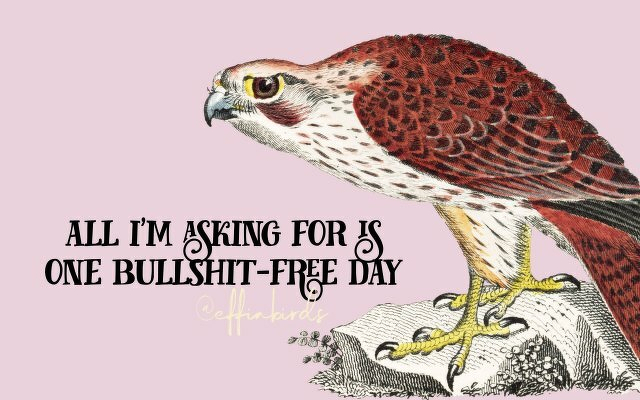 A painting of a bird beside the text "all i'm asking for is one bullshit-free day"