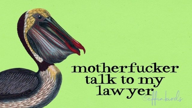 A painting of a bird beside the text "motherfucker talk to my lawyer"
