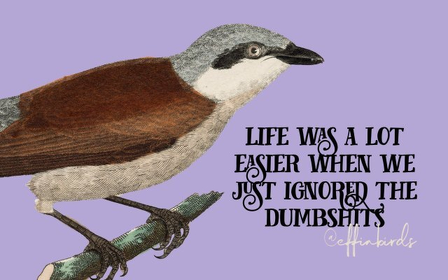 A painting of a bird beside the text "life was a lot easier when we just ignored the dumbshits"