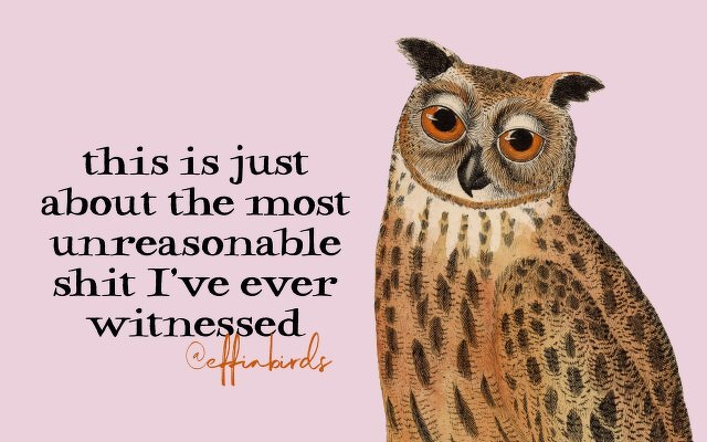 A painting of a bird beside the text "this is just about the most unreasonable shit I've ever witnessed"