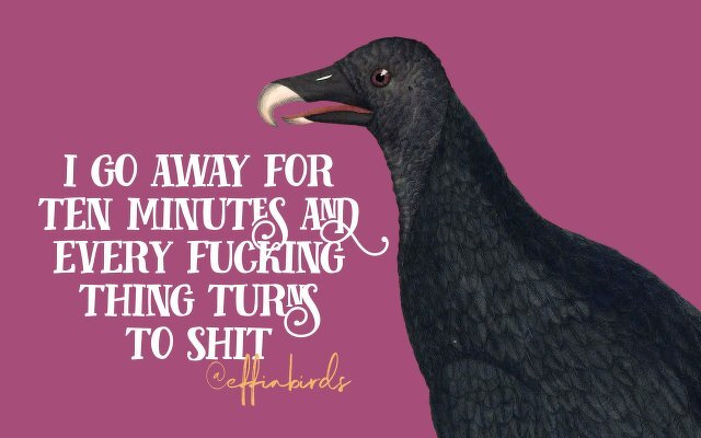 A painting of a bird beside the text "i go away for ten minutes and every fucking thing turns to shit"