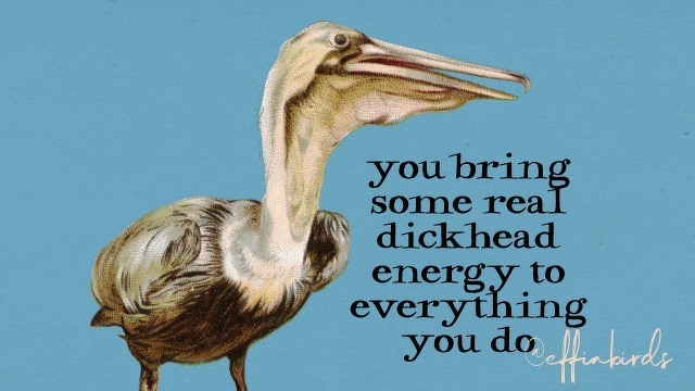 A painting of a bird beside the text "you bring some real dickhead energy to everything you do"