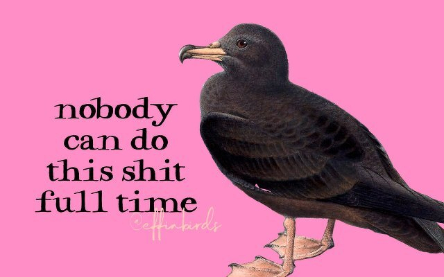 A painting of a bird beside the text "nobody can do this shit full time"