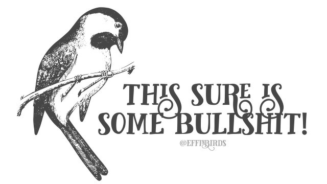 A woodcut of a bird beside the text "this sure is some bullshit!"