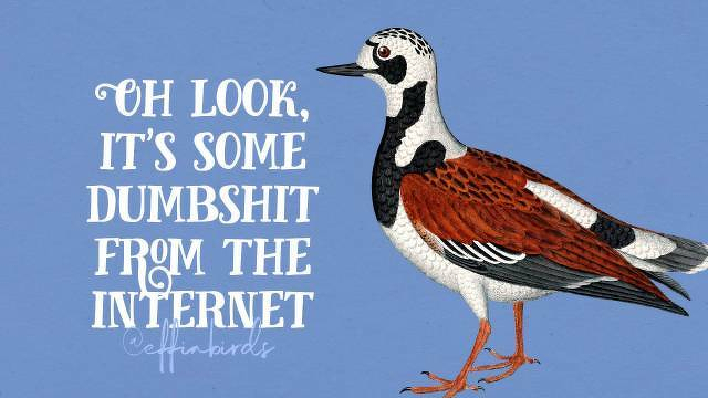 A painting of a bird beside the text "Oh look, it's some dumbshit from the internet"