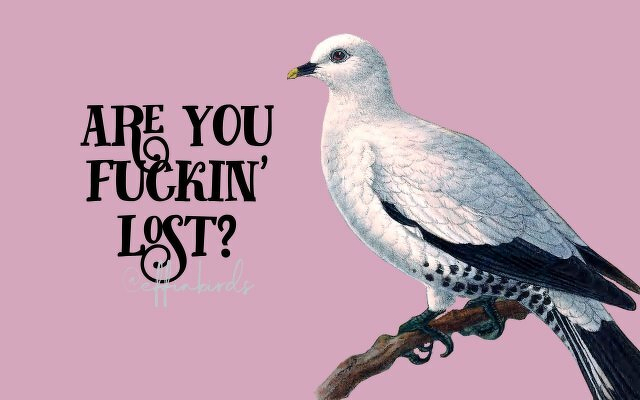 A painting of a bird beside the text "are you fuckin' lost?"
