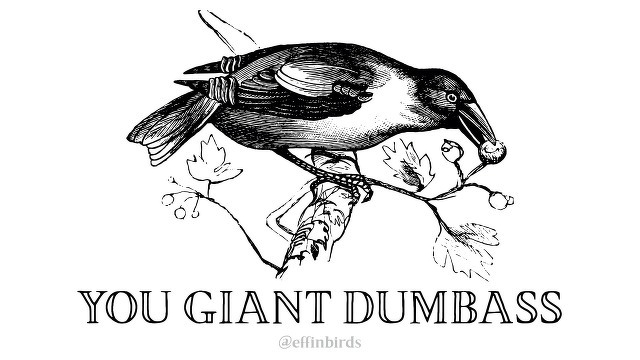 A woodcut of a bird beside the text "YOU GIANT DUMBASS"