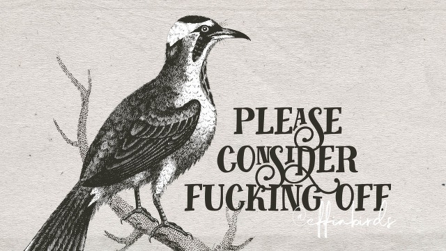 A woodcut of a bird beside the text "please consider fucking off"