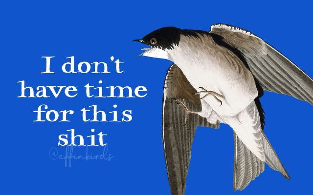 A painting of a bird beside the text "I don't have time for this shit"