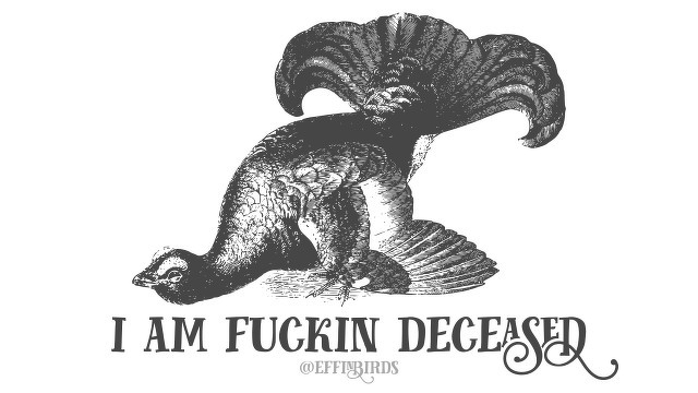 A woodcut of a bird beside the text "i am fuckin deceased"