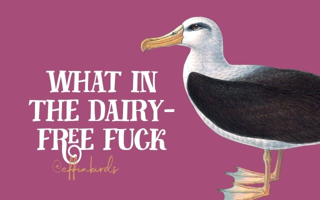 A painting of a bird beside the text "what in the dairy-free fuck"