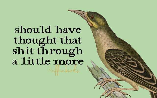 A painting of a bird beside the text "should have thought that shit through a little more"