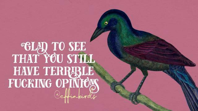A painting of a bird beside the text "Glad to see that you still have terrible fucking opinions"