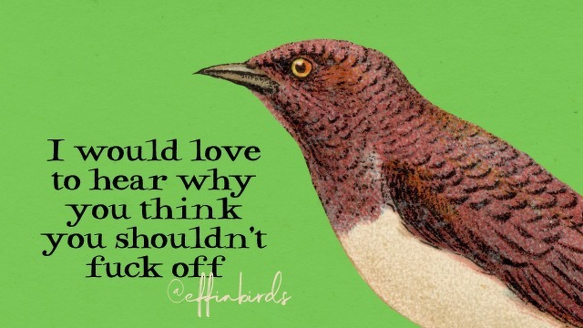 A painting of a bird beside the text "I would love to hear why you think you shouldn't fuck off"