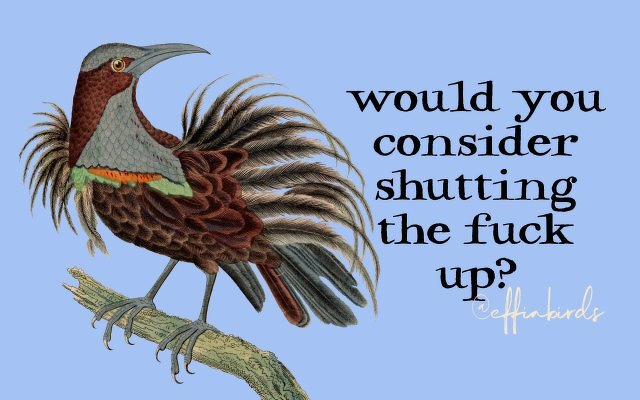 A painting of a bird beside the text "would you consider shutting the fuck up?"