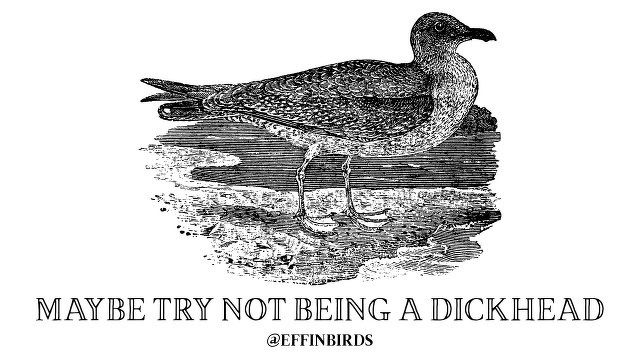 A woodcut of a bird beside the text "maybe try not being a dickhead"