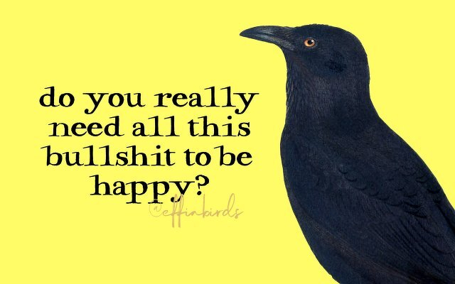A painting of a bird beside the text "do you really need all this bullshit to be happy?"