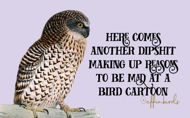A painting of a bird beside the text "here comes another dipshit making up reasons to be mad at a bird cartoon"