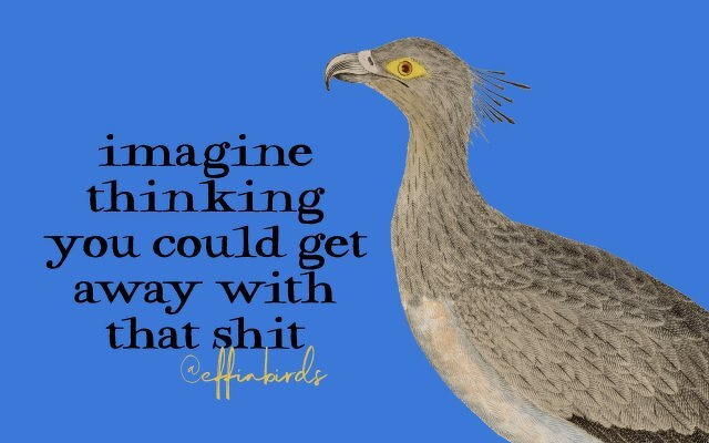 A painting of a bird beside the text "imagine thinking you could get away with that shit"