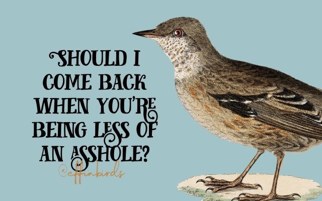 A painting of a bird beside the text "Should i come back when you're being less of an asshole"